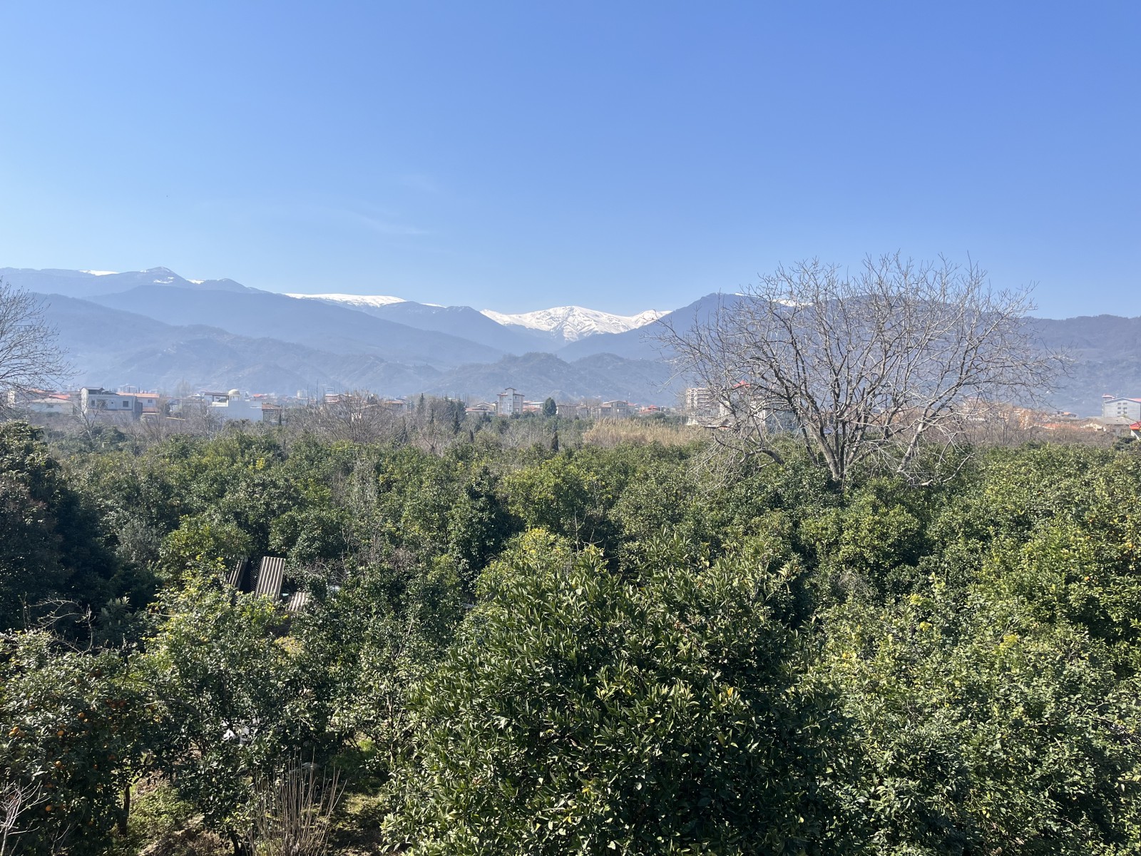 ویوی کوه