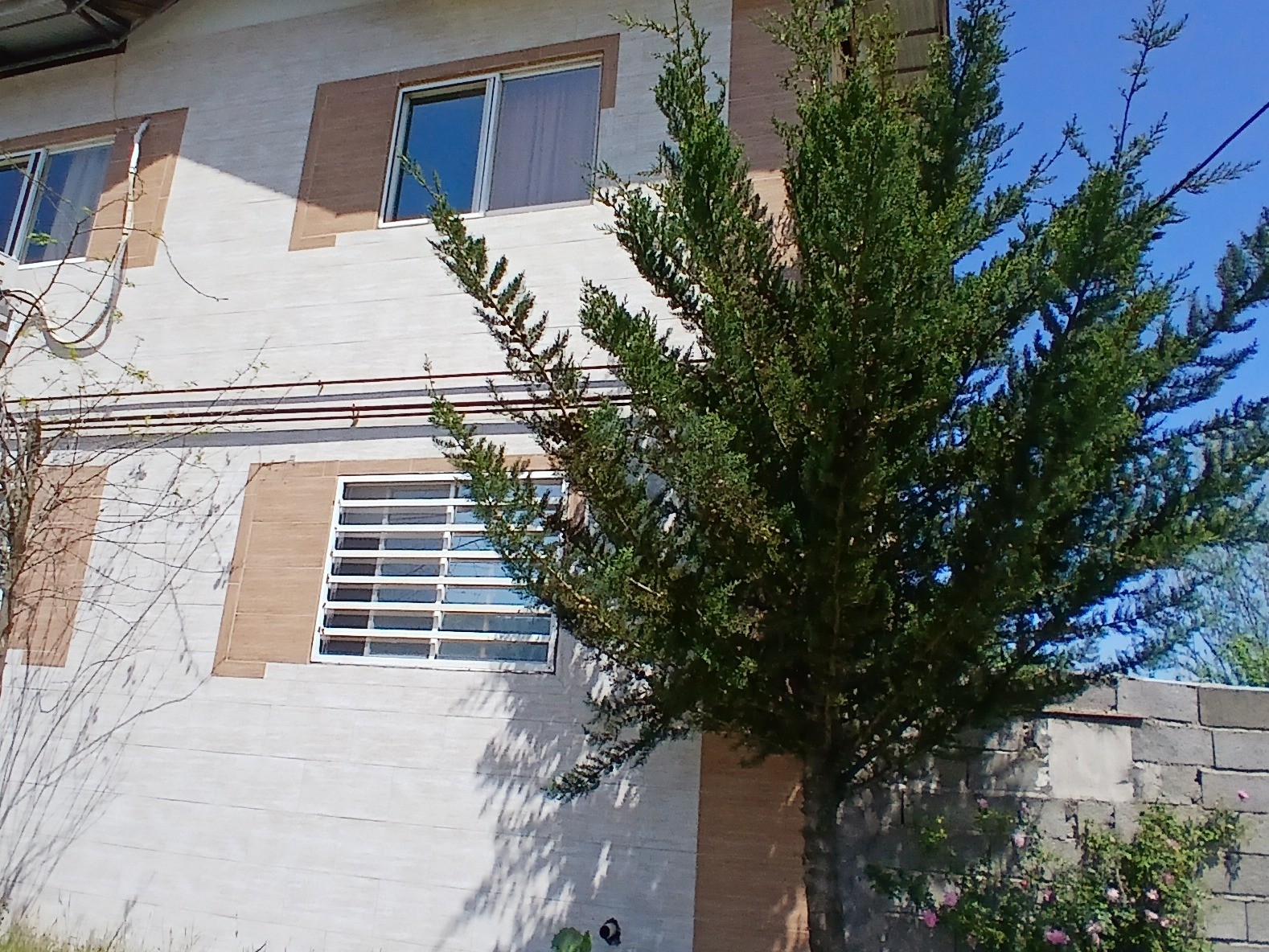 نمای بیرونی ساختمان