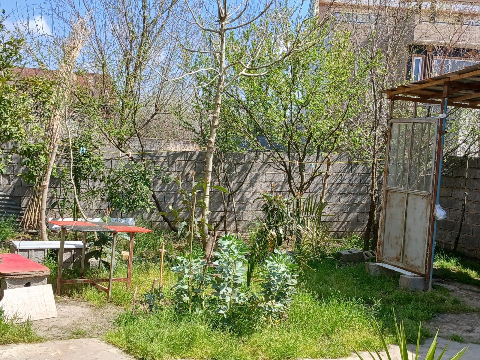 نمای بیرونی