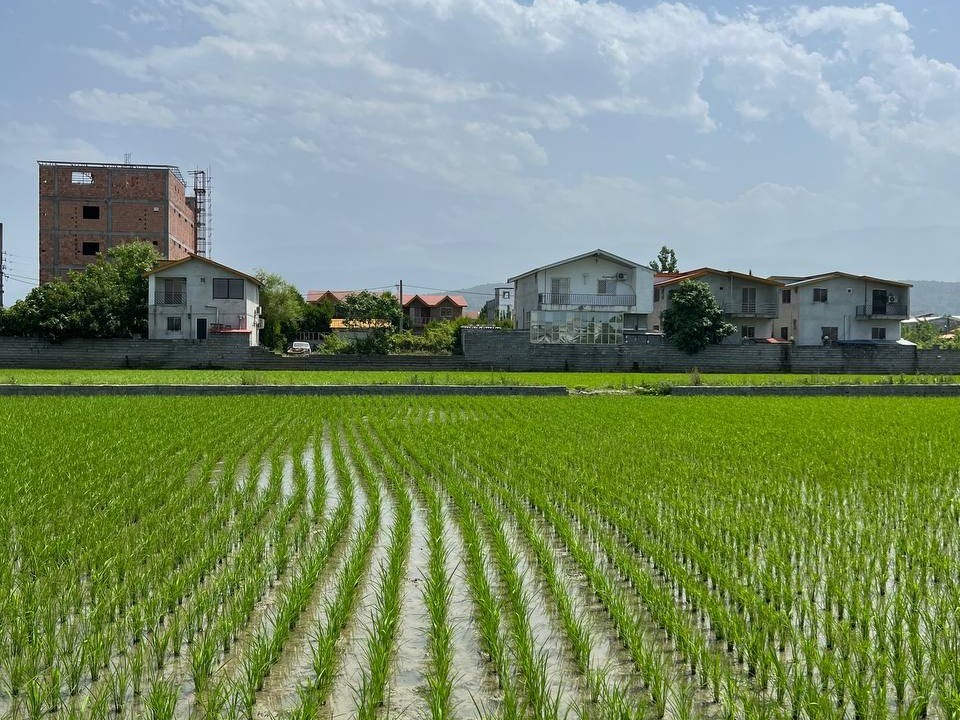 نمای روبروی ویلا نمای روبروی ویلا