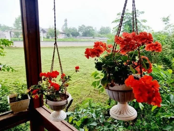 نمای بیرونی ساختمان