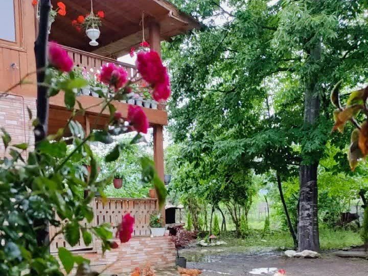 نمای بیرونی ساختمان