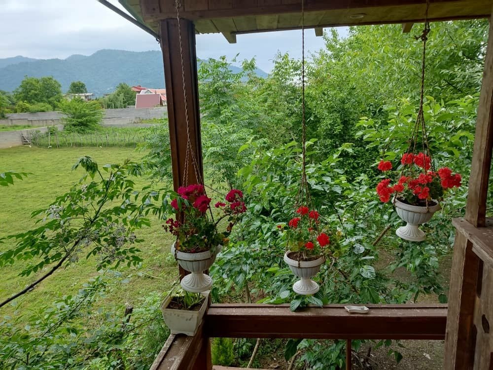 نمای بیرونی ساختمان
