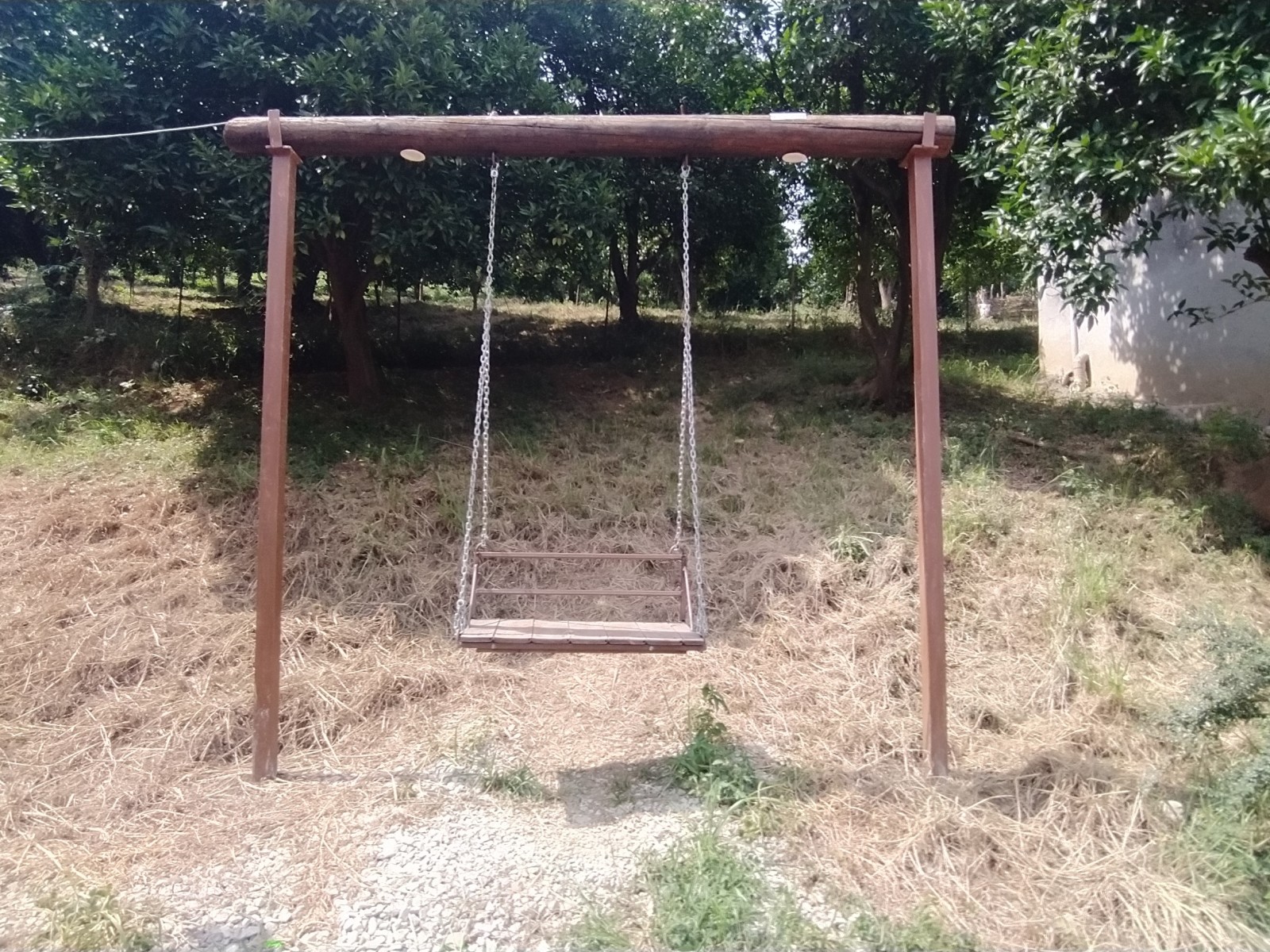 تاب داخل حیاط