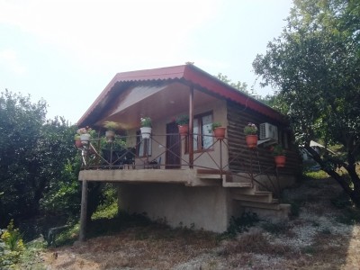 کلبه سنتی تک خوابه نما گلی