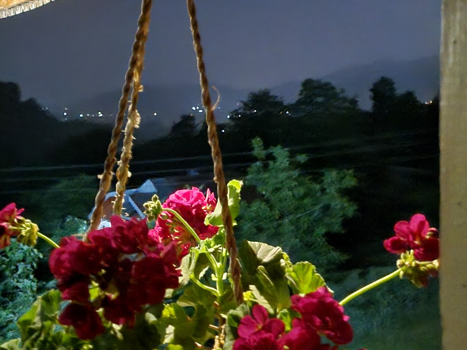 نمای شب