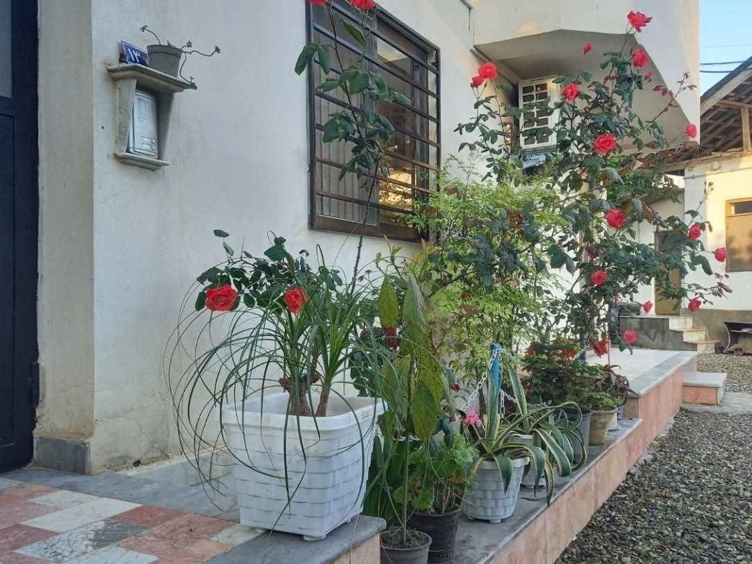 نمای بیرونی ساختمان