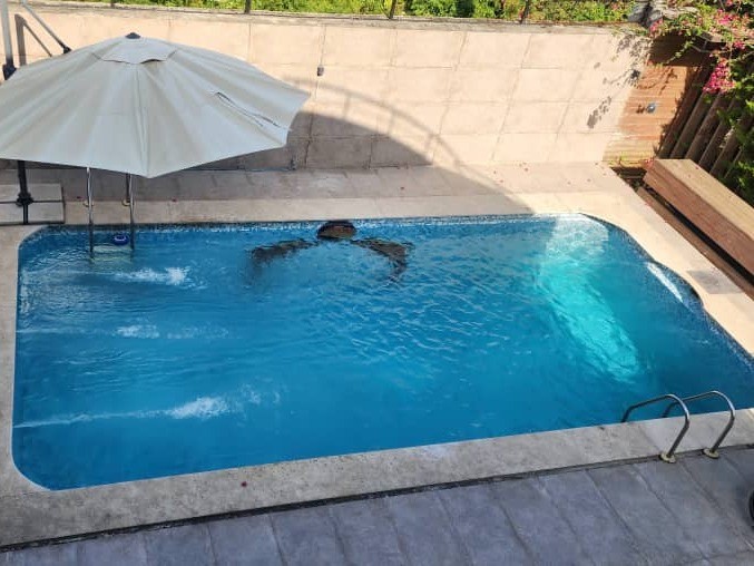 استخرردید از بالکن