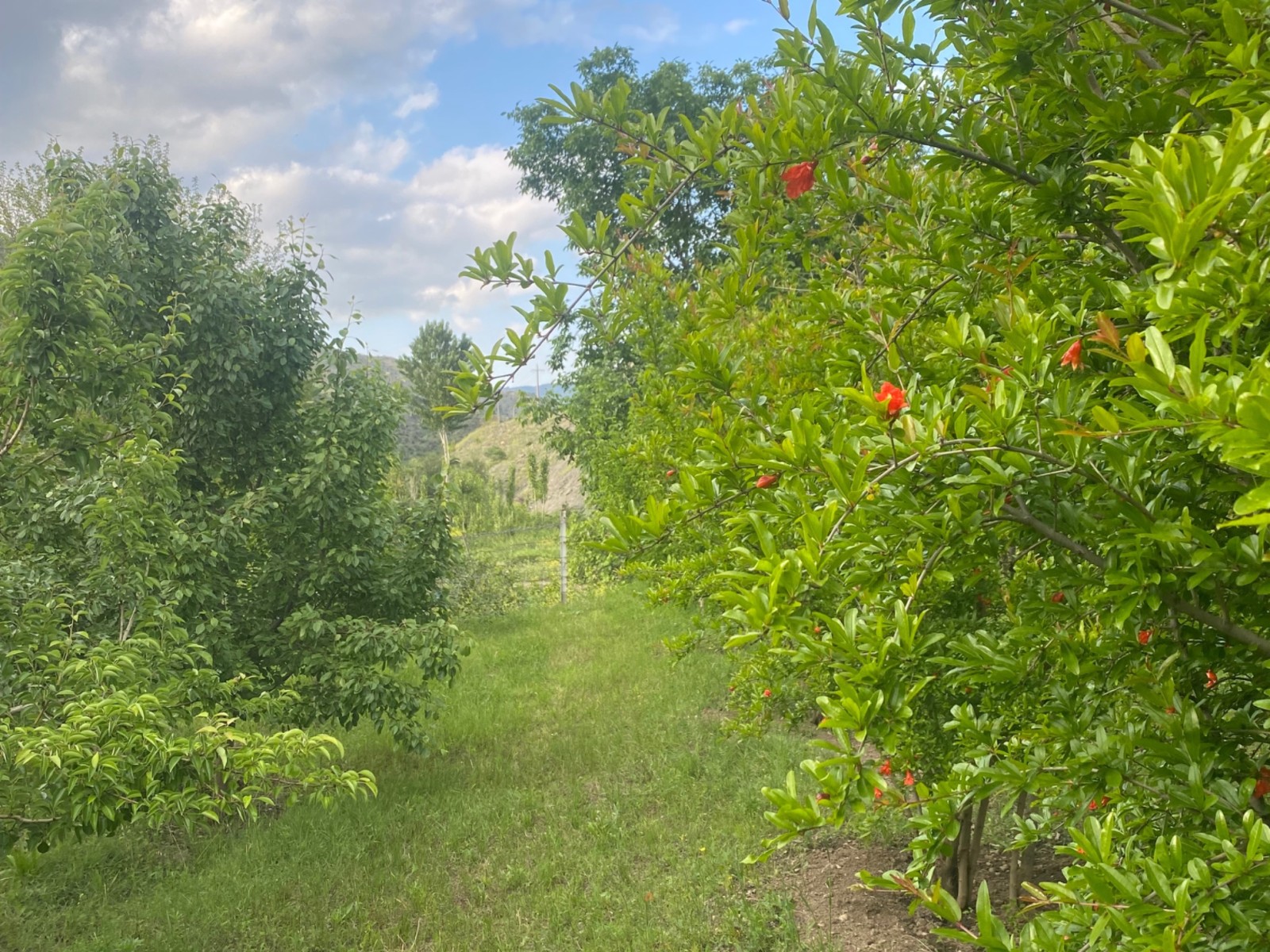 نمای بیرونی ساختمان