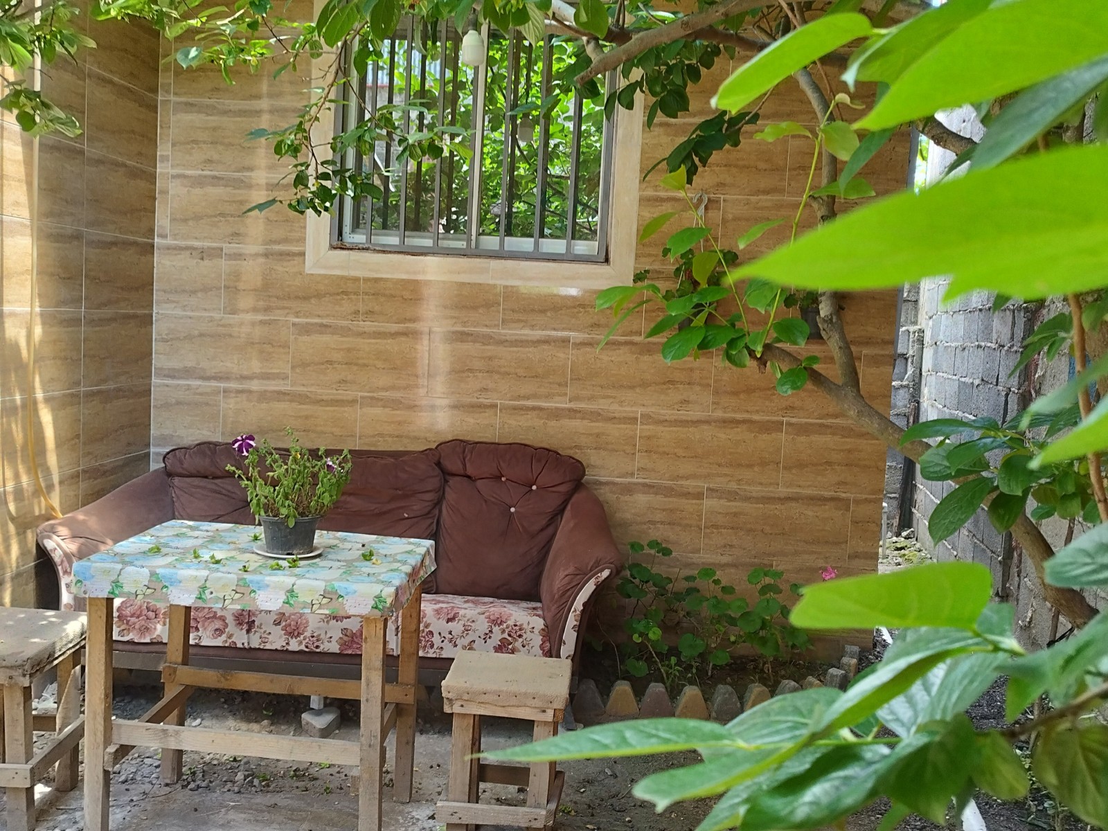 نمای بیرونی ساختمان