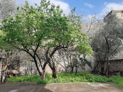ویلای تک خوابه رستم آباد