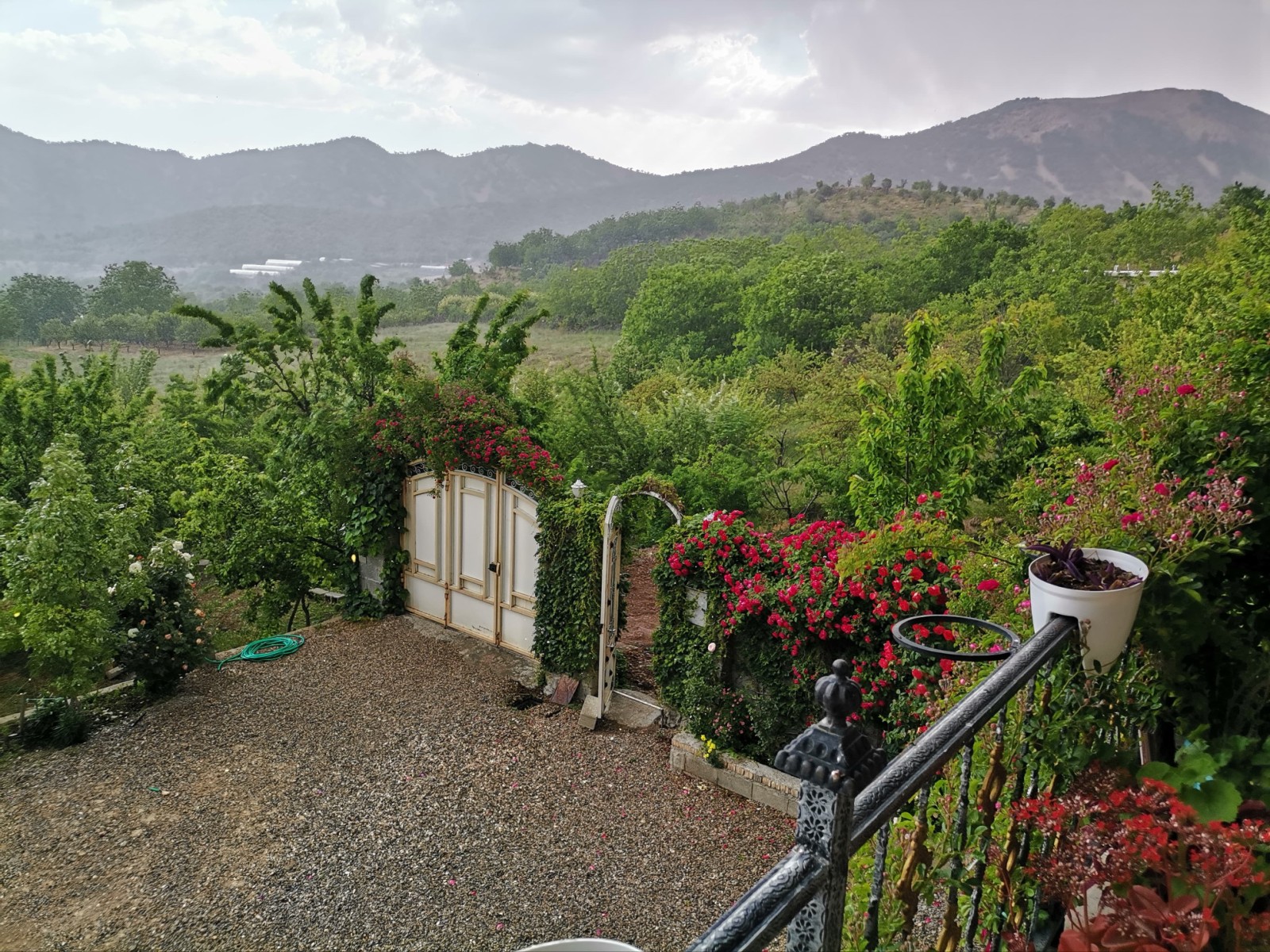 نمای بیرونی ساختمان نمای بیرونی ساختمان