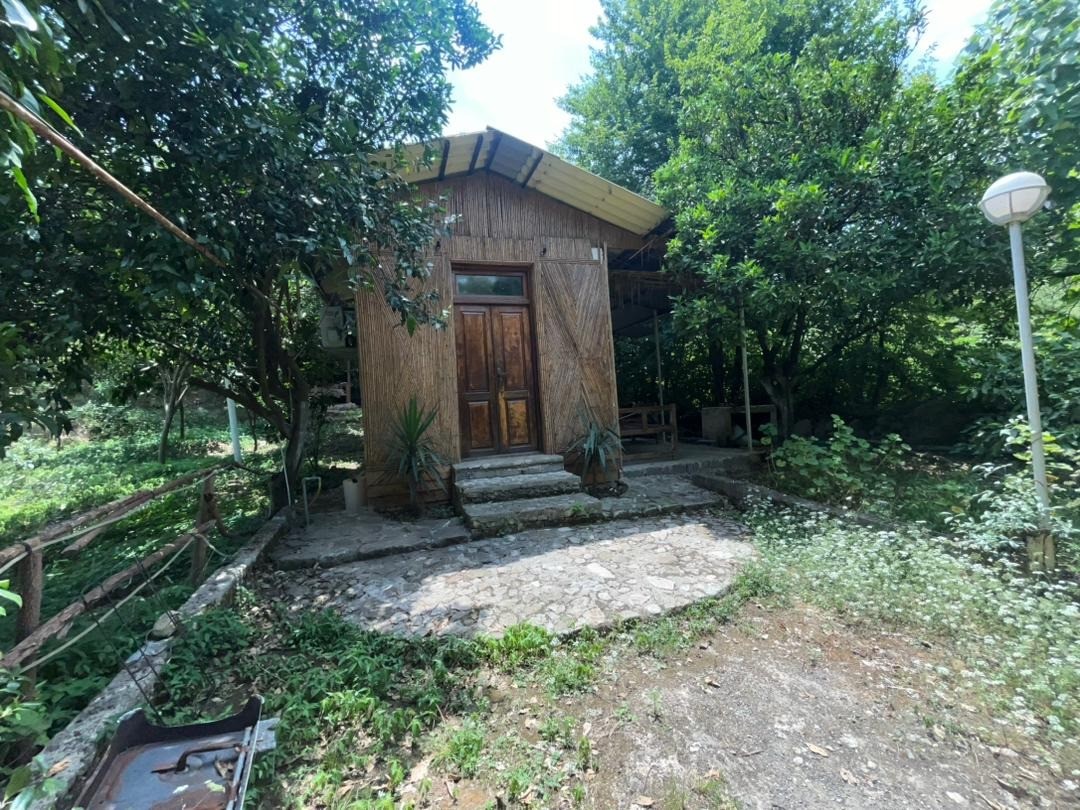 نمای بیرونی ساختمان
