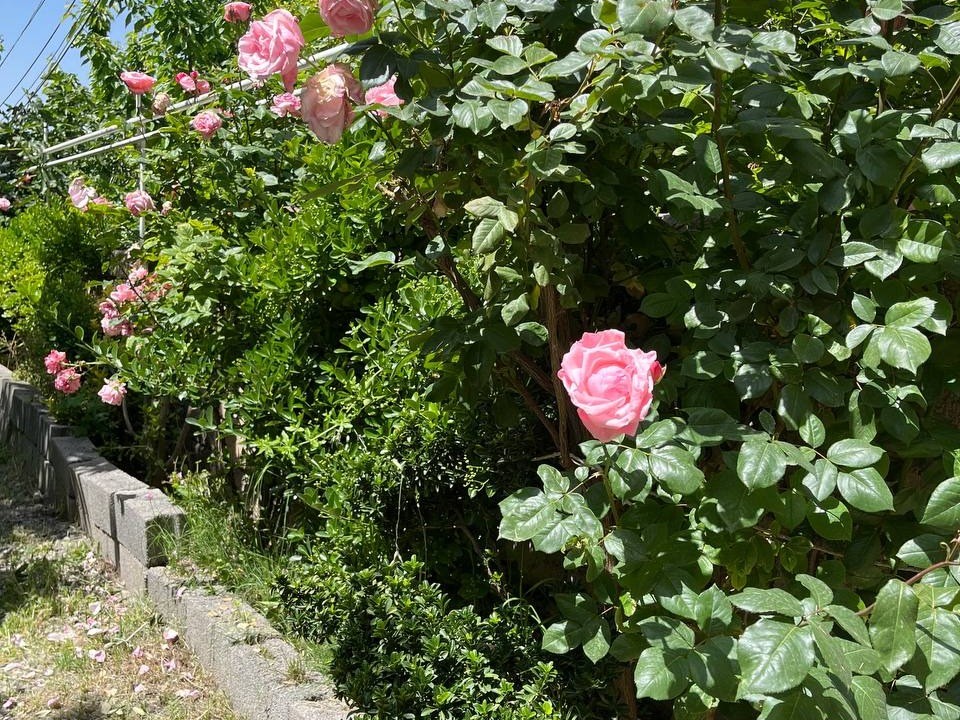 نمای بیرونی ساختمان