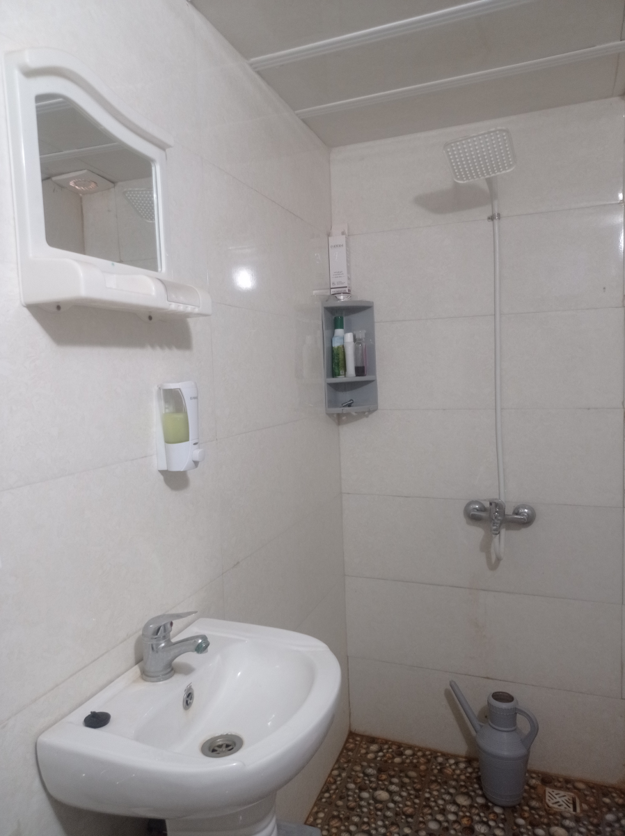 سرویس بهداشتی