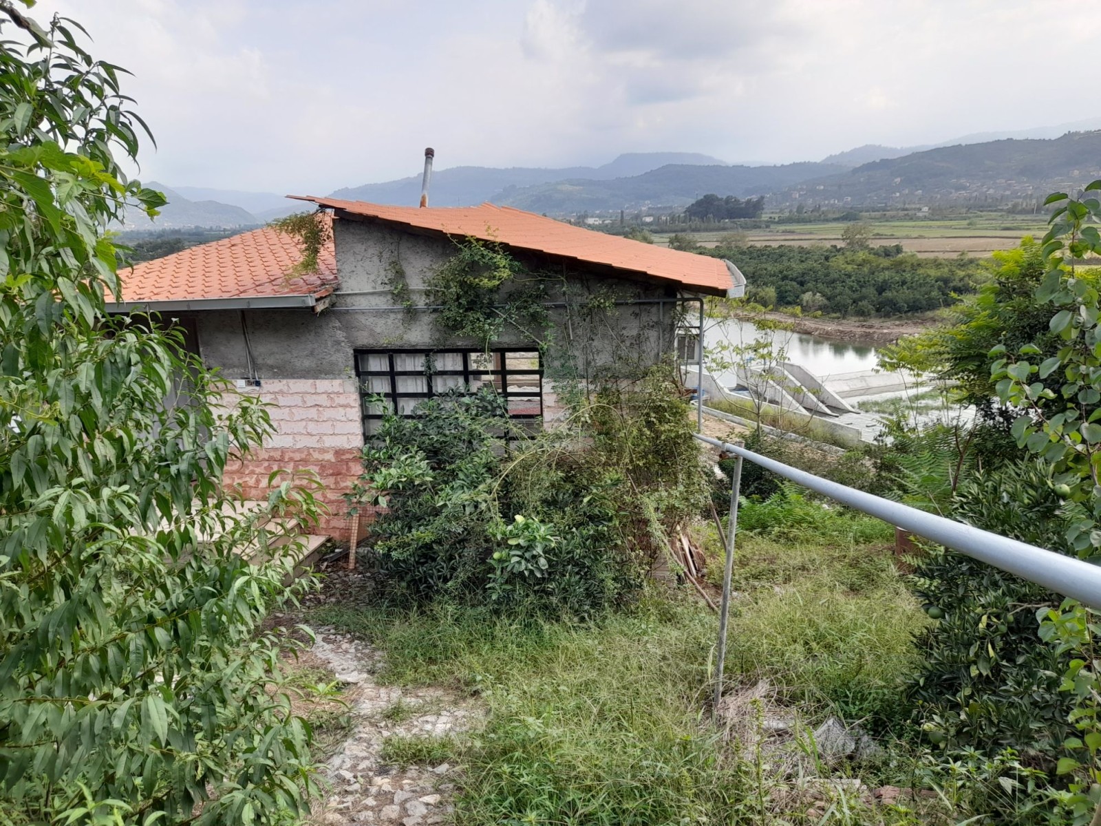 نمای ساختمان نمای ساختمان