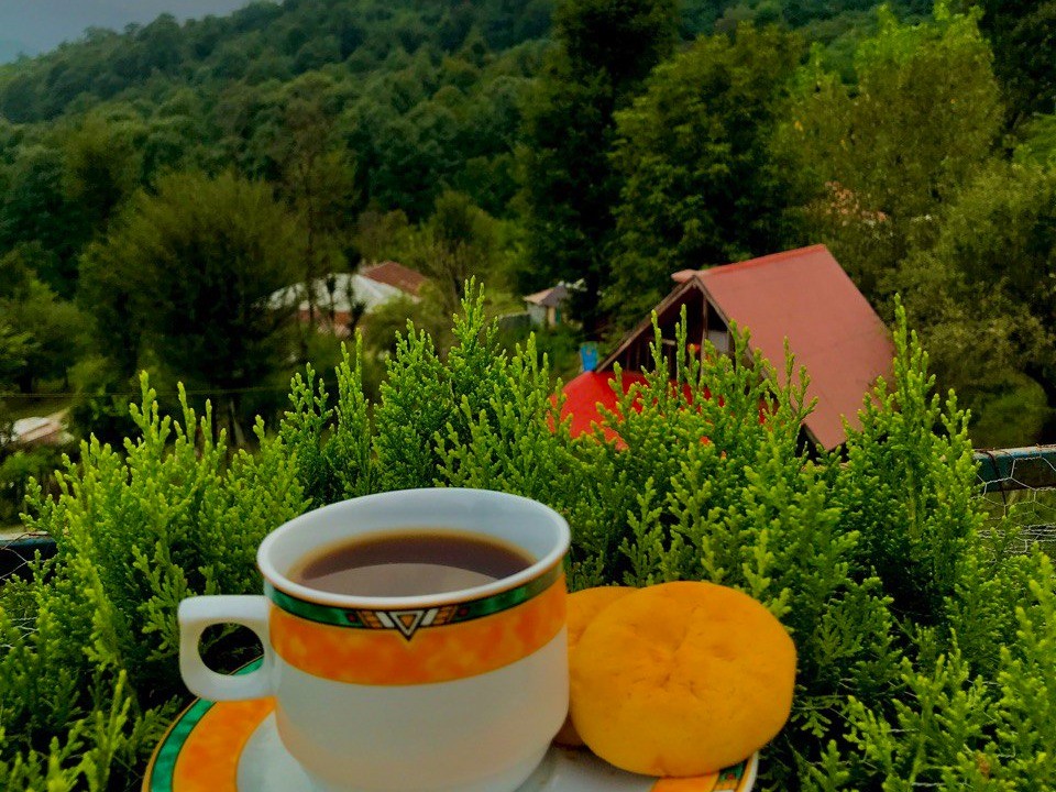 ویو از حیاط