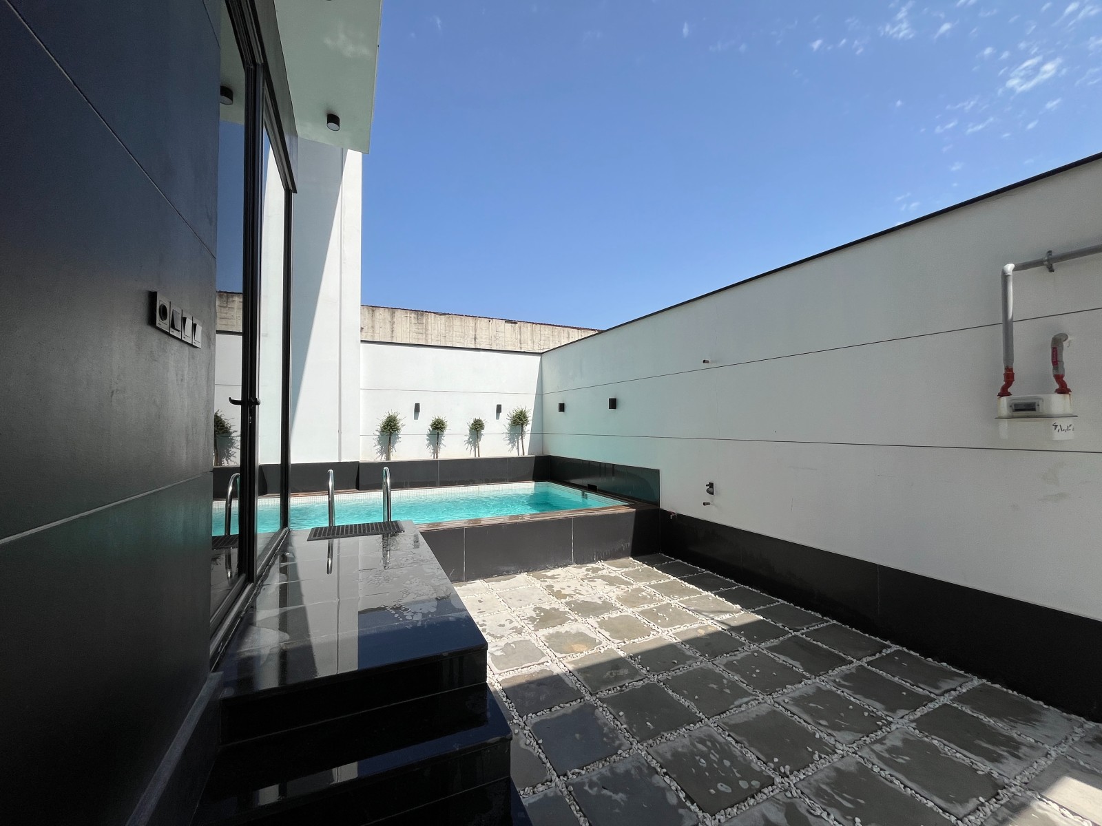 حیاط و اسخر حیاط و اسخر