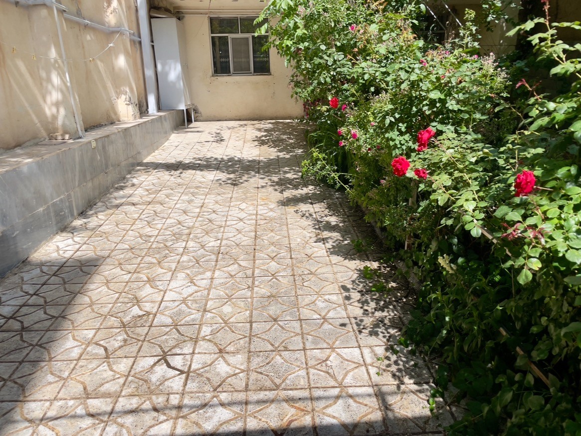 حیاط