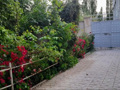 سوئیت ویلایی همکف