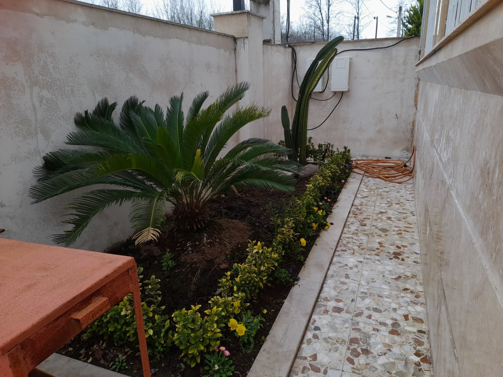حیاط حیاط