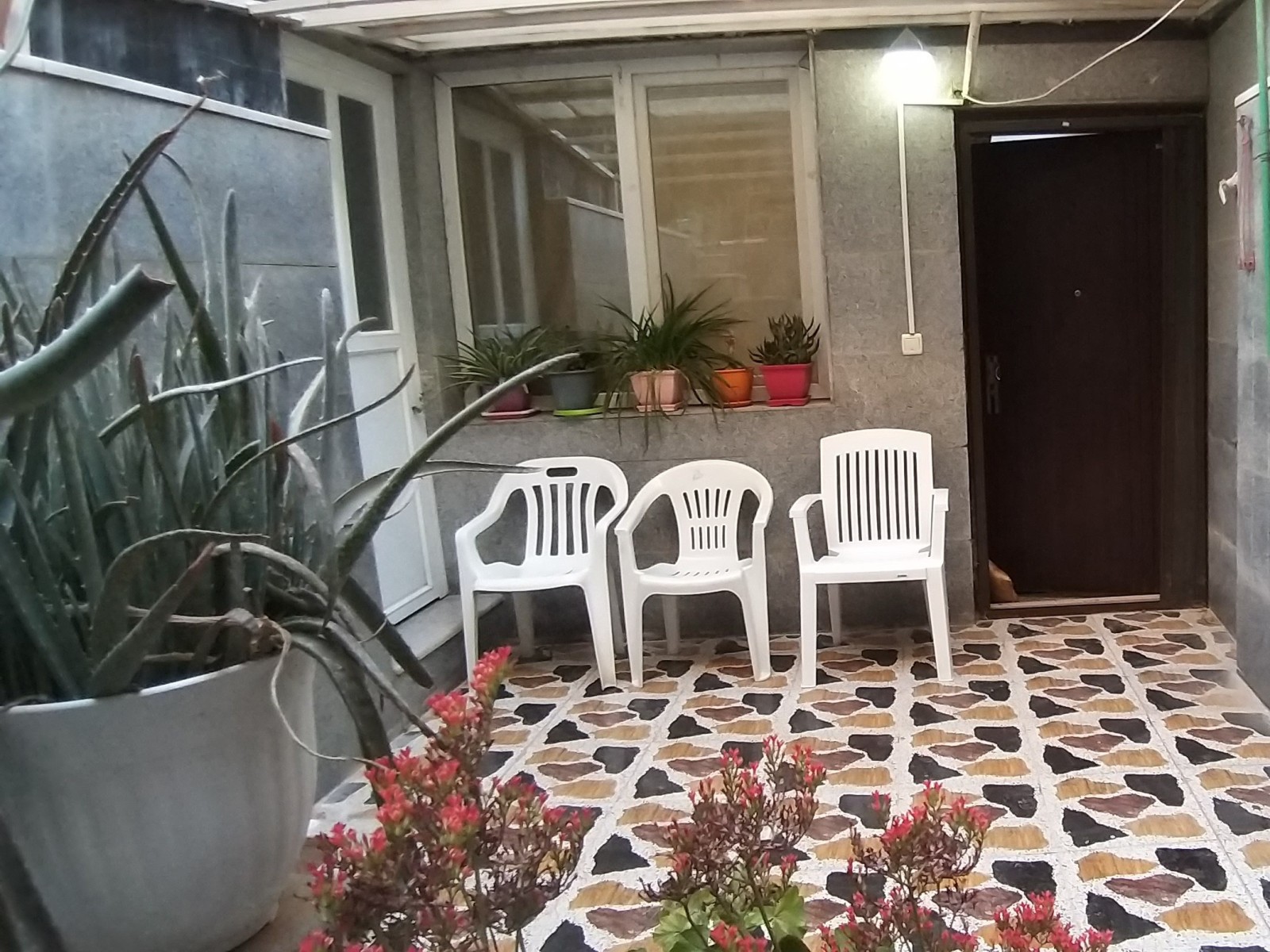 حیاط اختصاصی حیاط اختصاصی