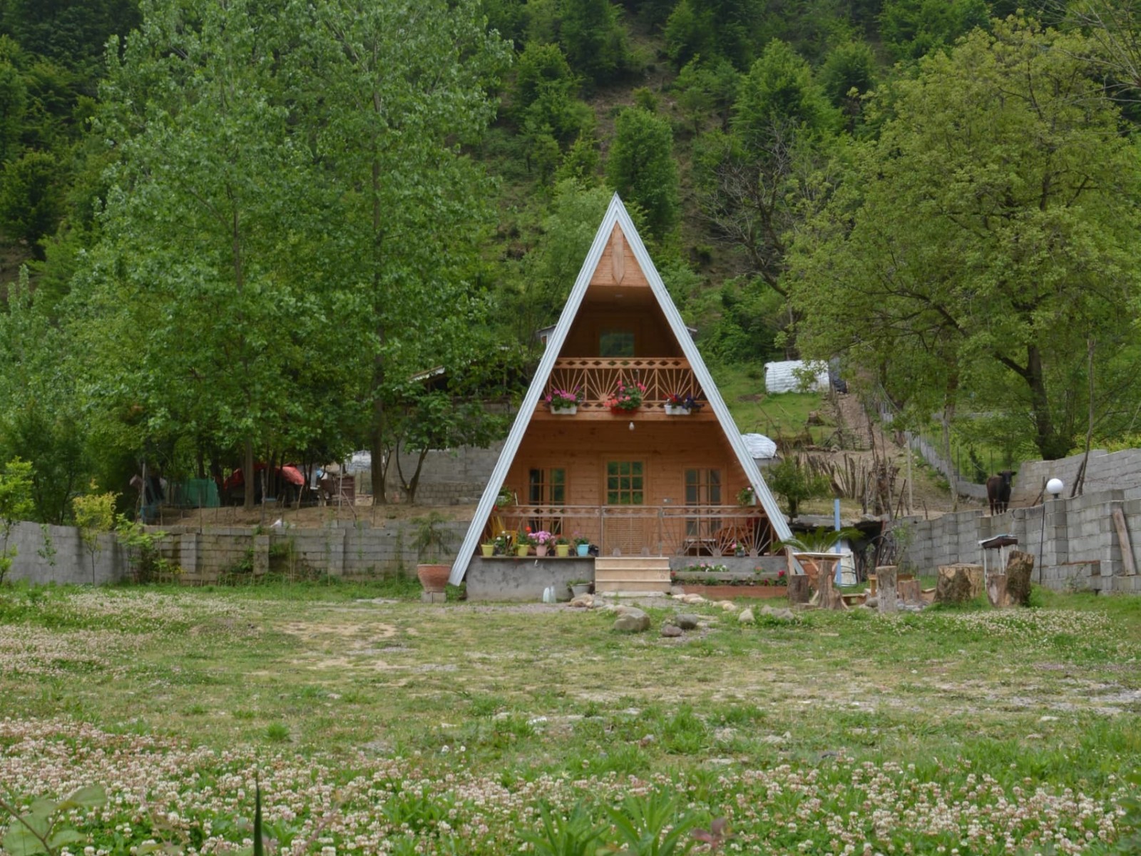 نمای بیرونی ساختمان نمای بیرونی ساختمان