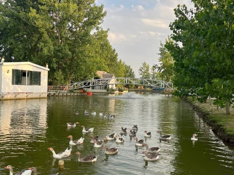 نمای بیرونی ساختمان نمای بیرونی ساختمان