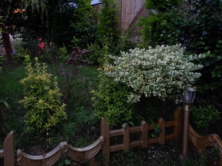 نمای بیرونی ساختمان