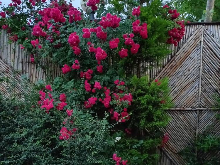نمای بیرونی ساختمان