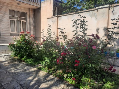 ویلای دو خواب نورا