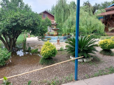 شالیزار کلبه (۱۲)