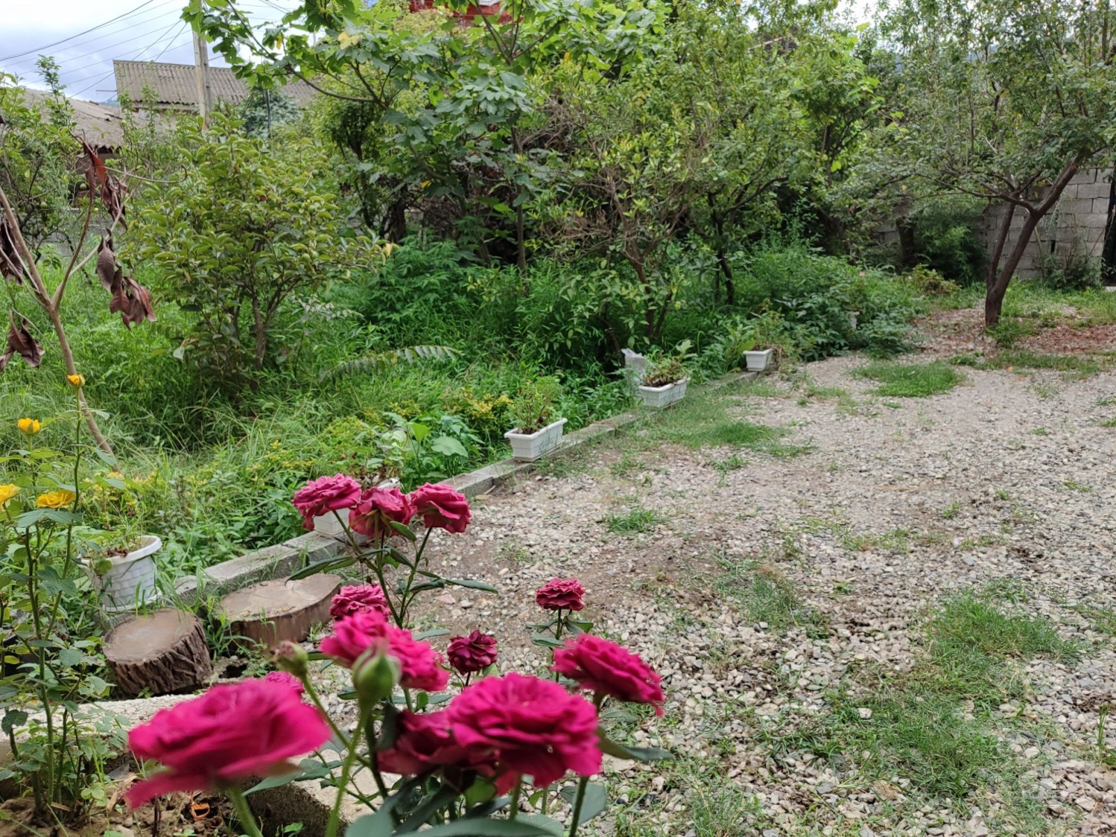 نمای بیرونی ساختمان