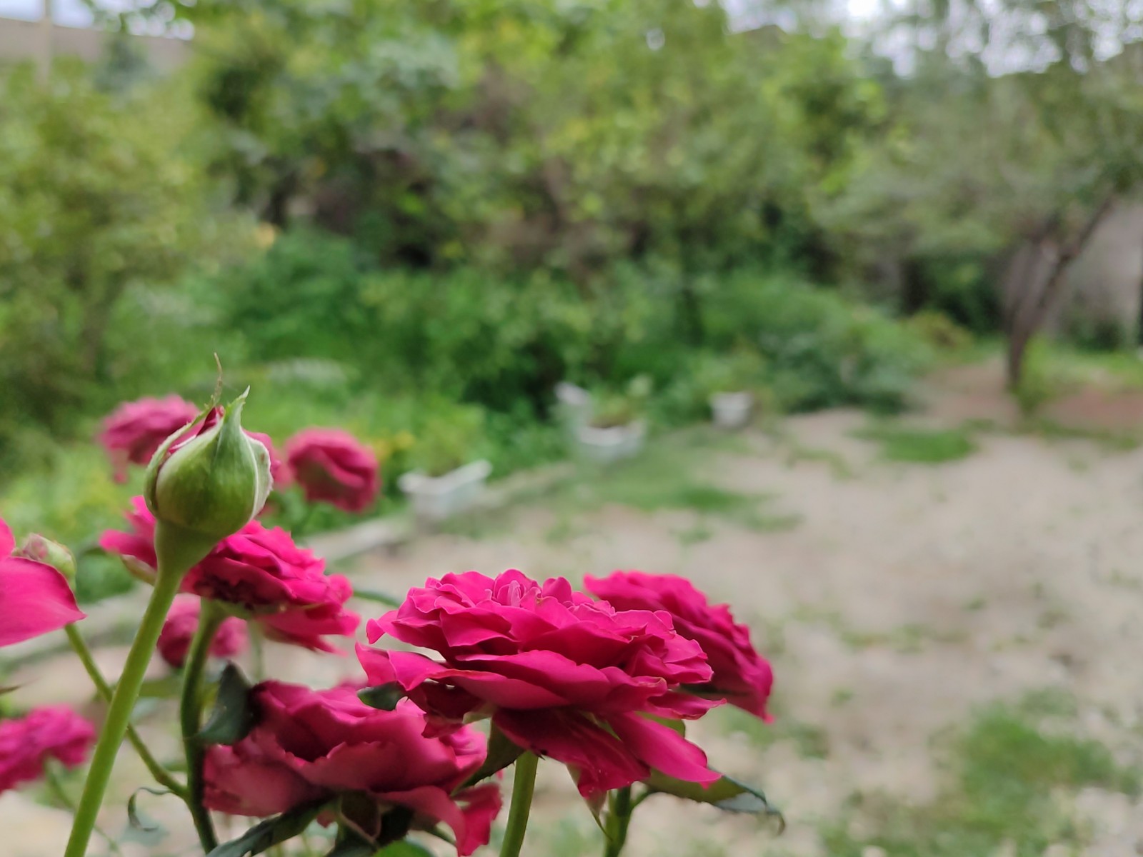 نمای بیرونی ساختمان