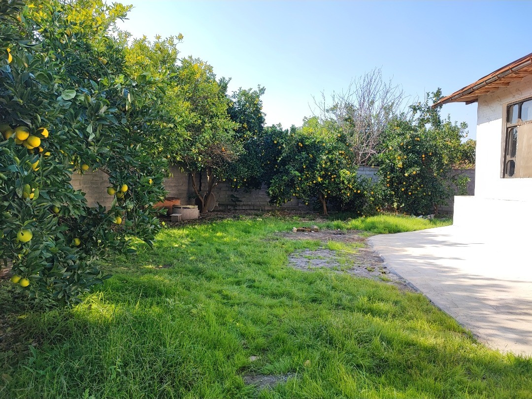 نمای بیرونی ساختمان