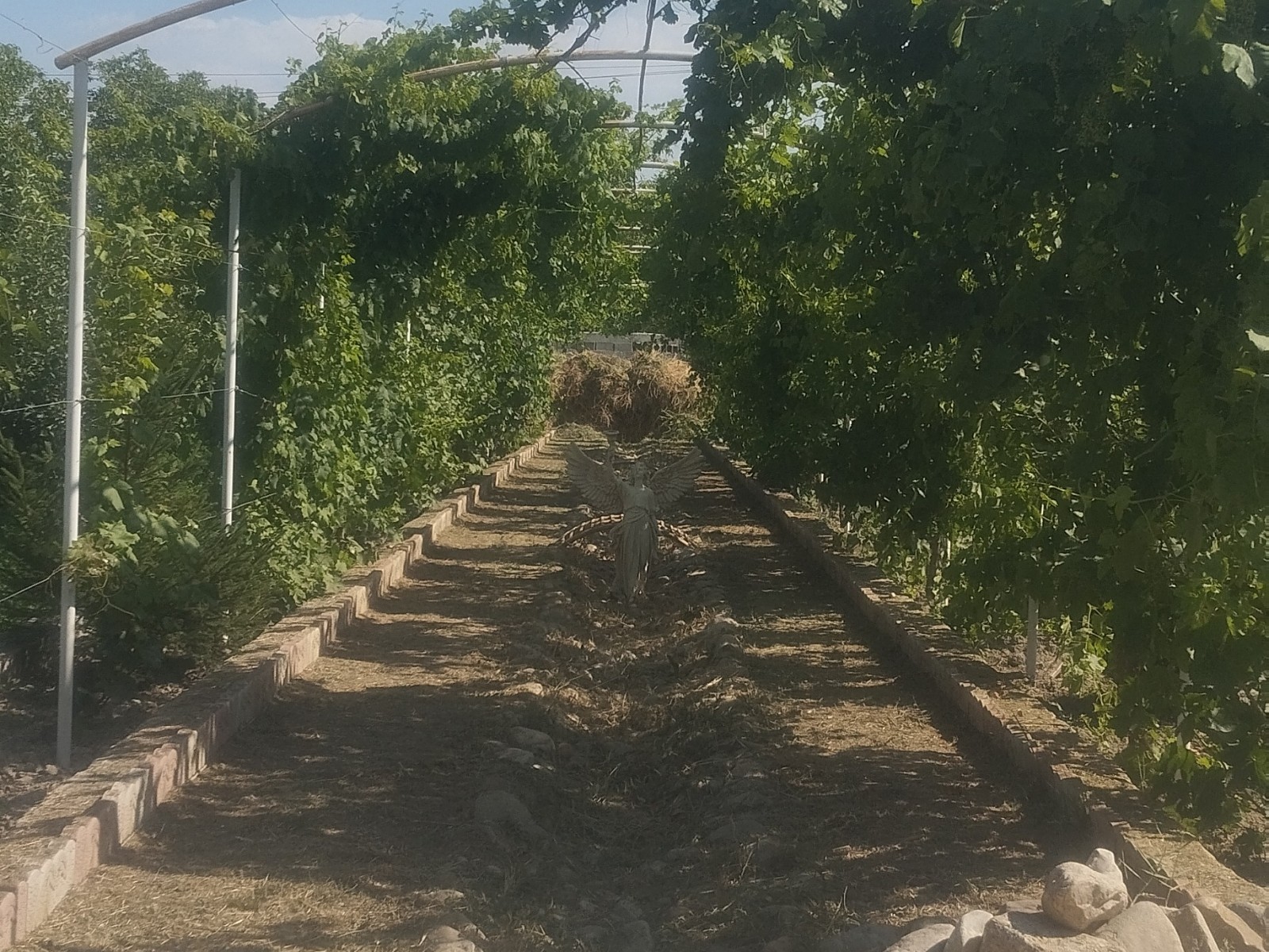 نمای بیرونی ساختمان