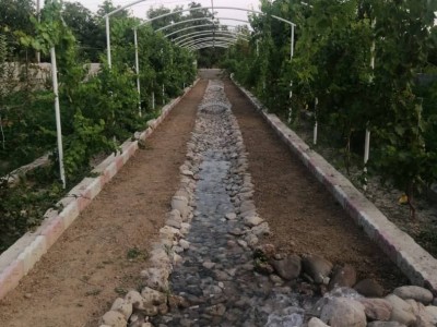 ویلا باغ سنتی در روستای مشک آباد