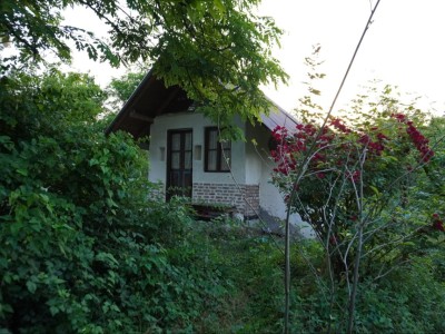 اقامتگاه داربن سراوان "کلبه دلبر"