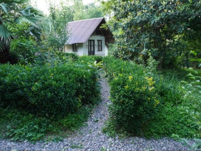 اقامتگاه داربن سراوان "کلبه دلبر"