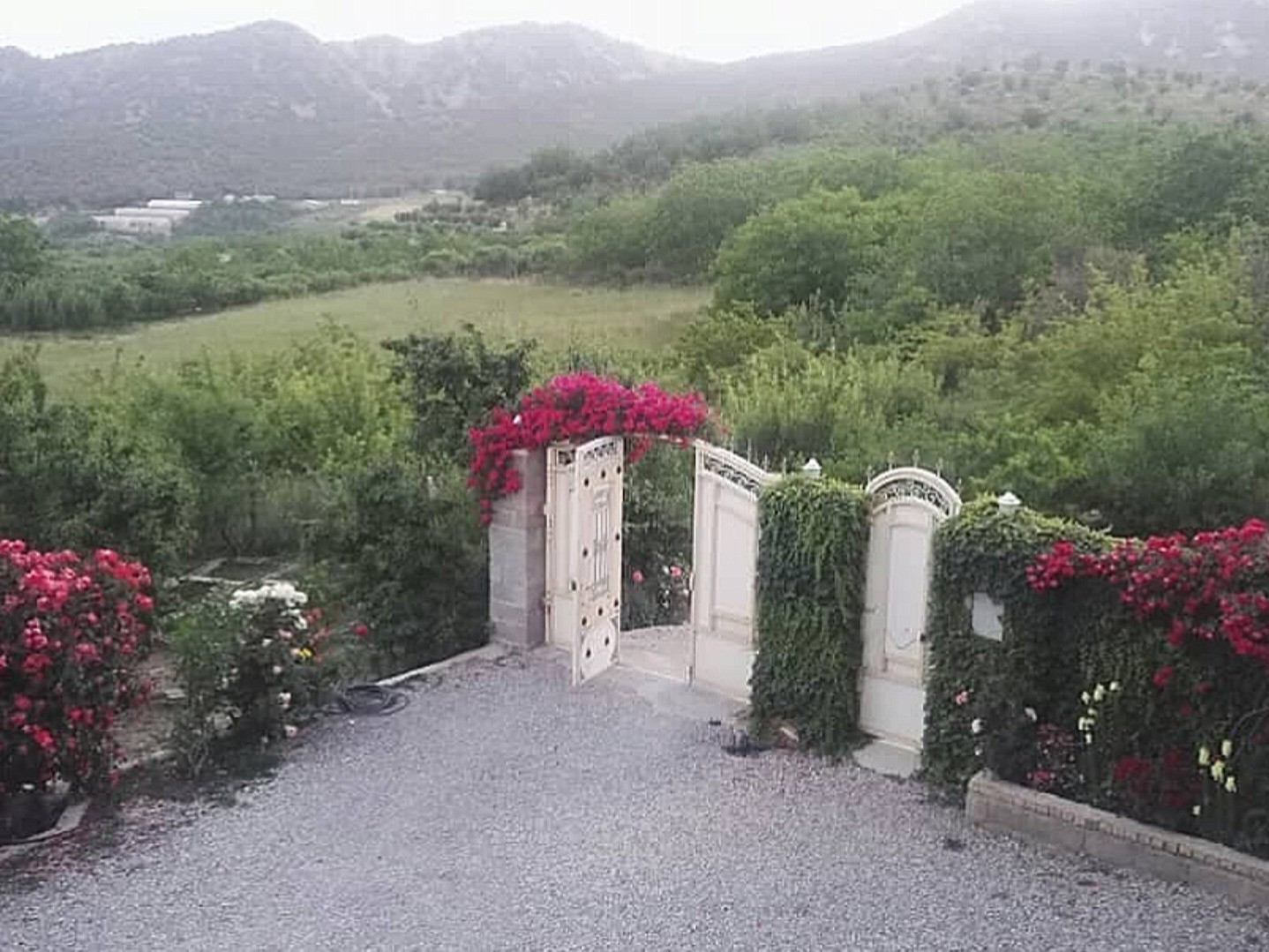 نمای بیرونی ساختمان