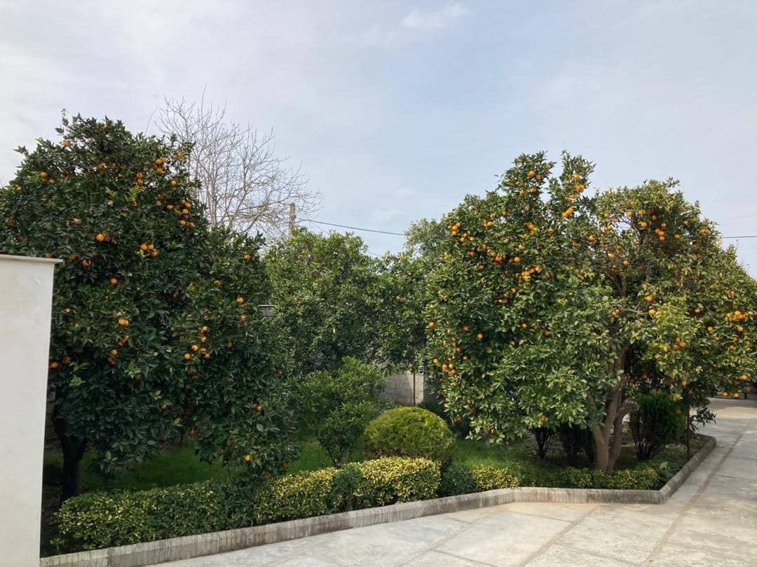 نمای بیرونی ساختمان نمای بیرونی ساختمان