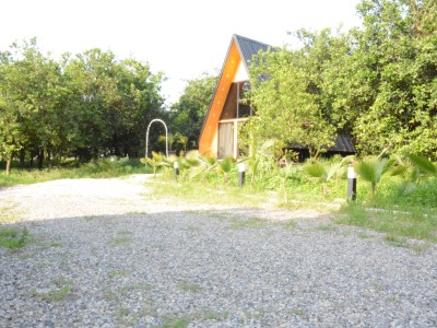 کلبه چوبی تک خوابه پالم کلبه چوبی تک خوابه پالم