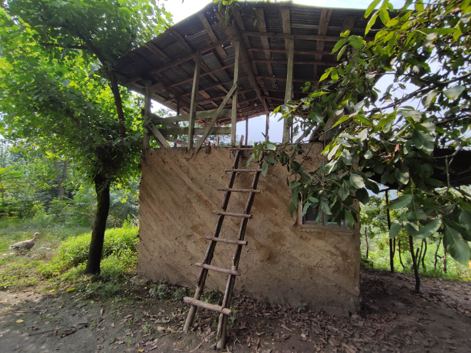 نمای بیرونی ساختمان نمای بیرونی ساختمان