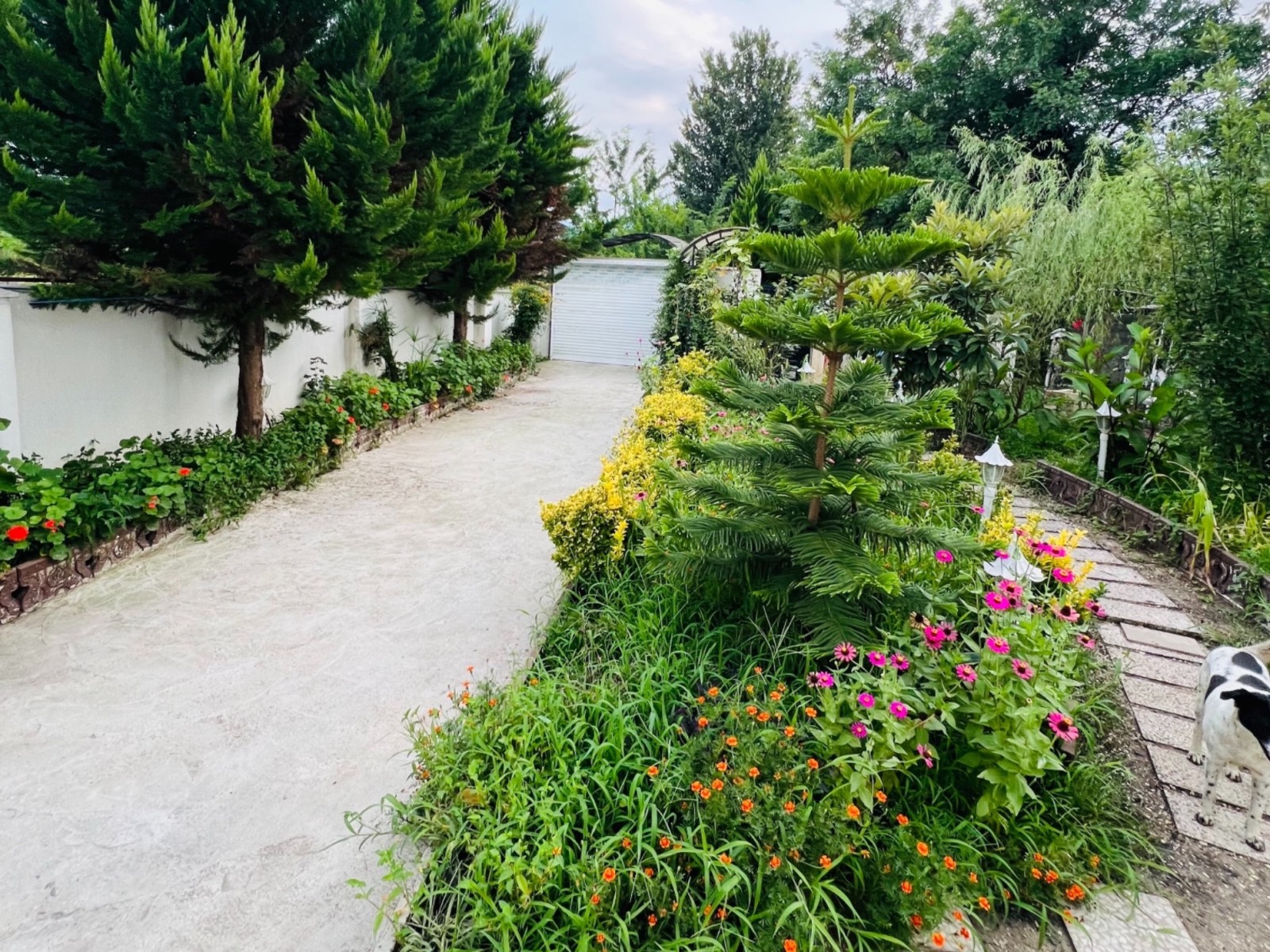 نمای بیرونی ساختمان