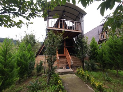 کلبه سوییسی دامون 2