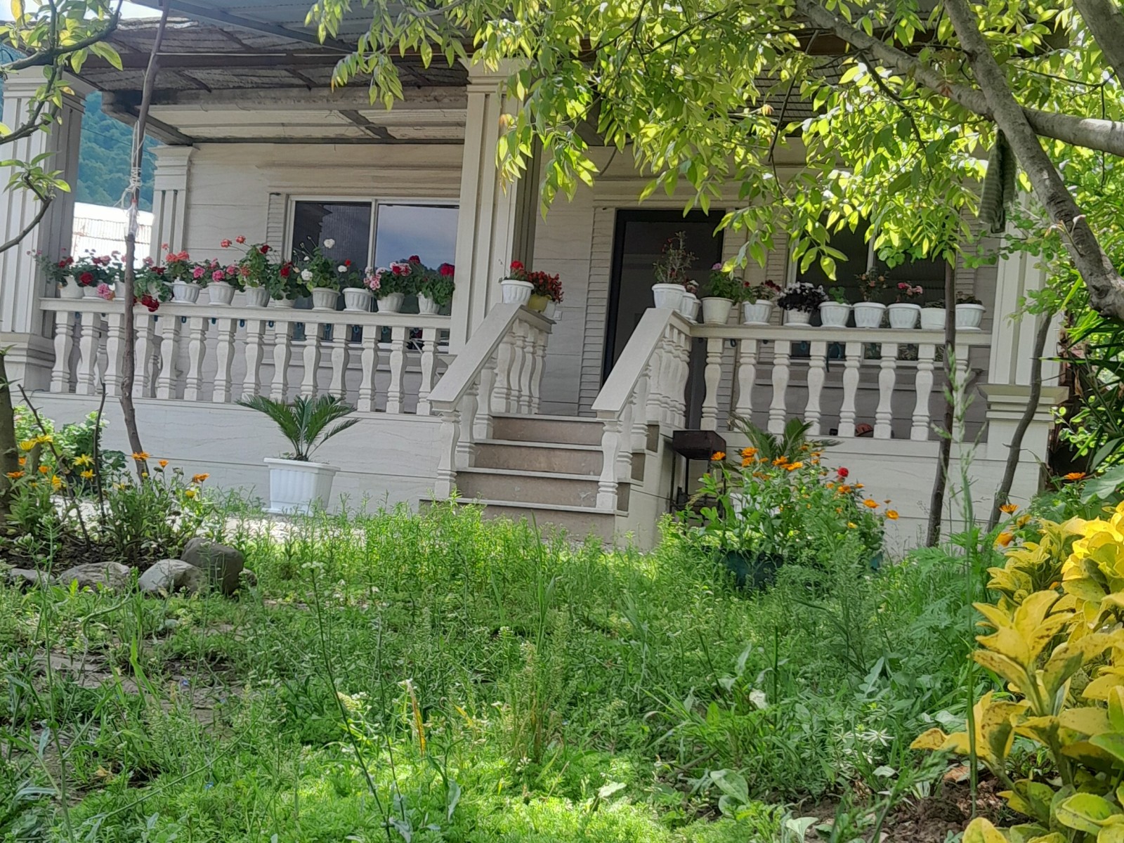 نمای بیرونی ساختمان