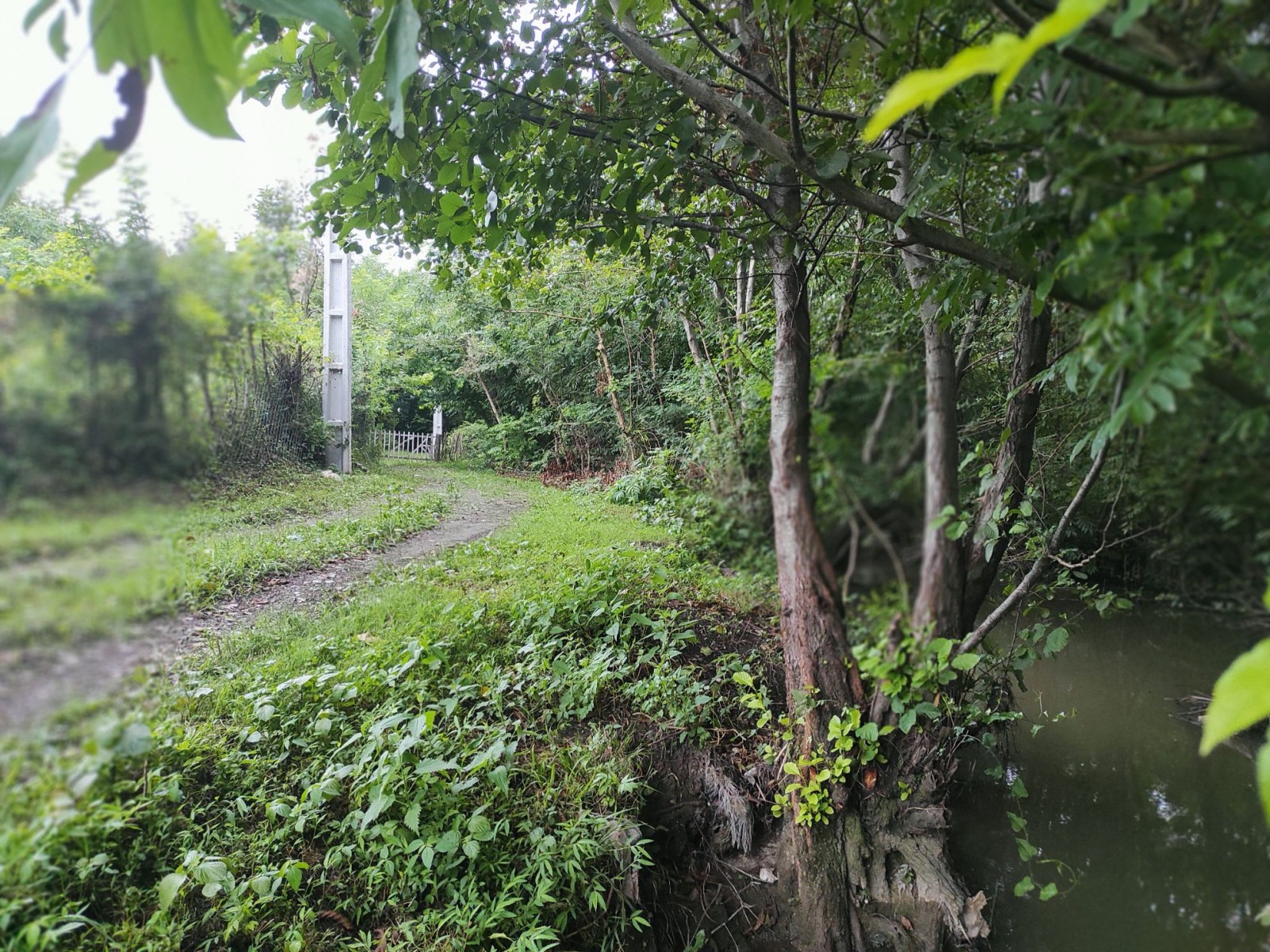 راه اختصاصی و رودخانه راه اختصاصی و رودخانه