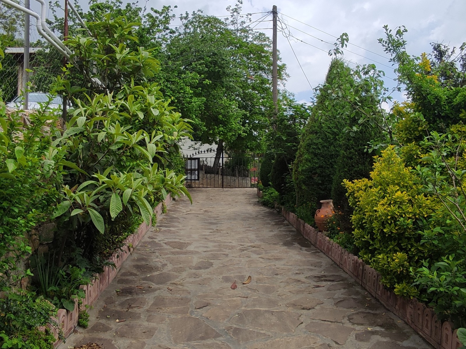 حیاط