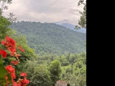 ویلای تک خوابه با پذیرایی شیشه ایی با منظره جنگل