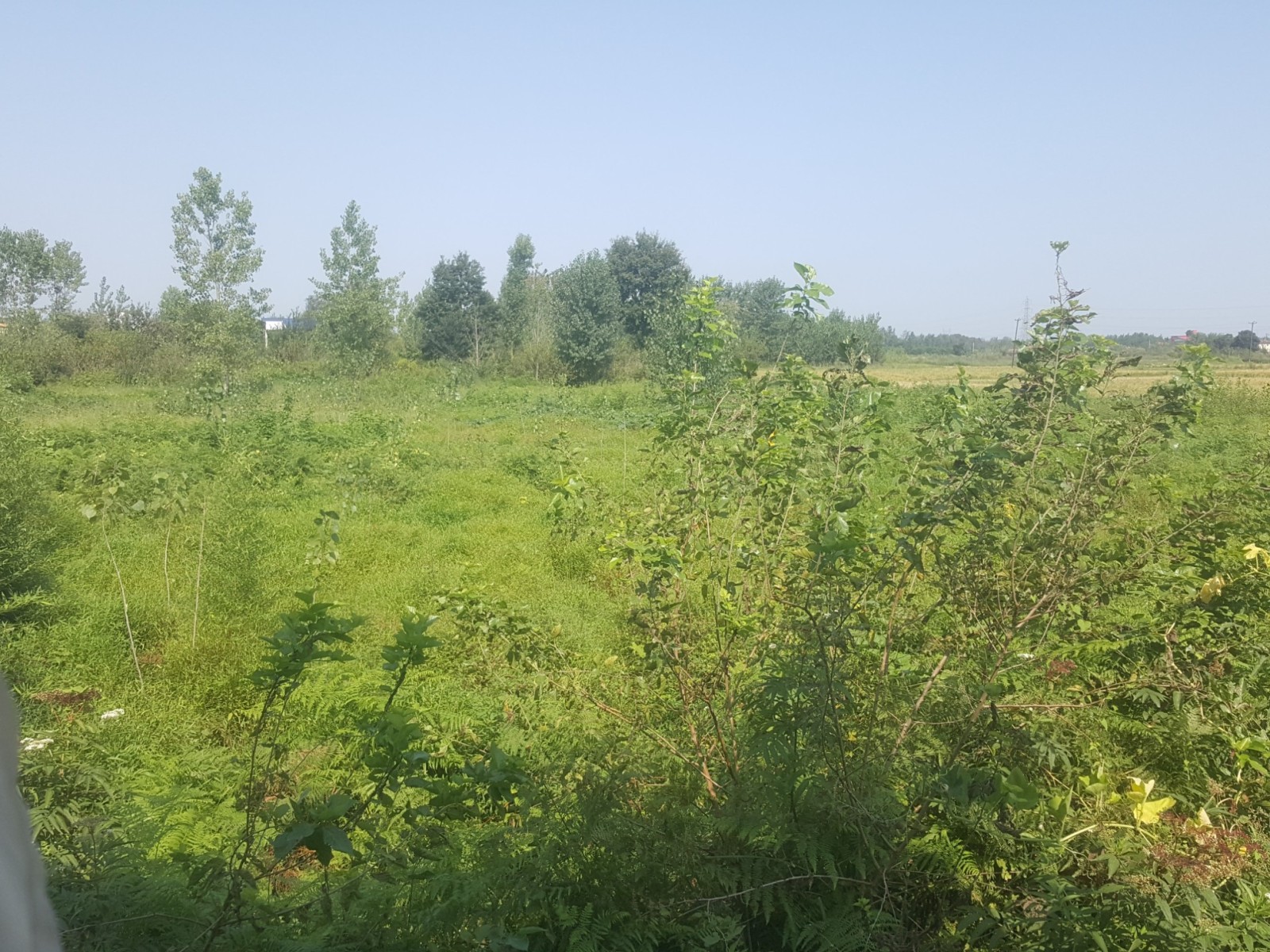 نمای اطراف ویلا